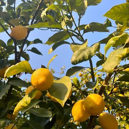 Casa Aprea Σπίτι διακοπών *