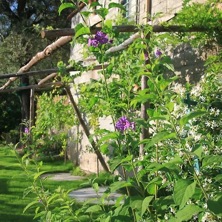 Casa Aprea * Σορέντο