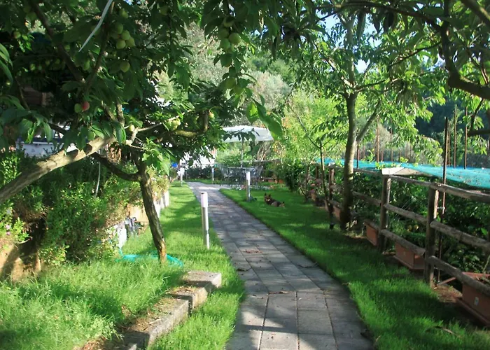 Casa Aprea Casa vacanze Sorrento