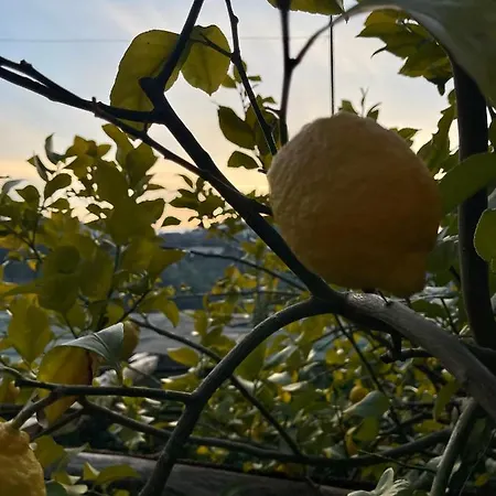 Casa Aprea Península Sorrentina