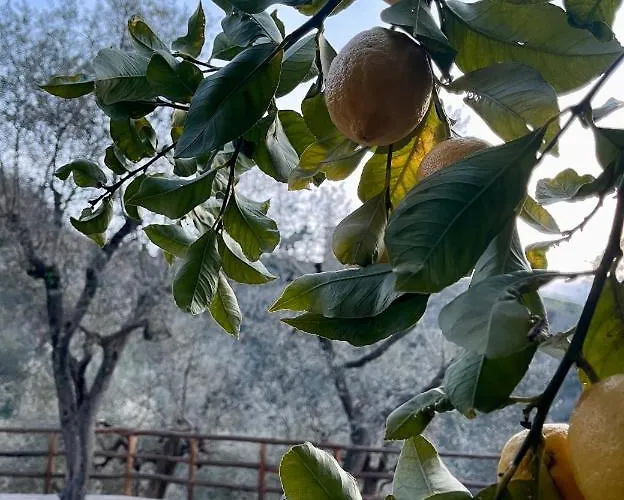 Casa Aprea Tatil Evi