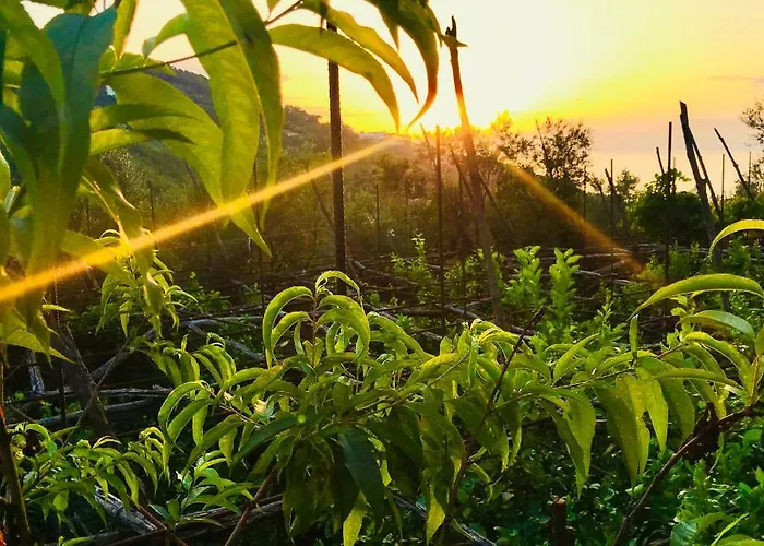 Casa Aprea Tatil Evi